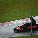 stockkart_2011nov_domingo080.jpg