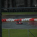 stockkart_2011nov_domingo084.jpg