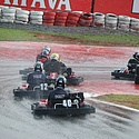 stockkart_2011nov_domingo117.jpg