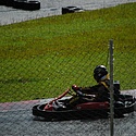 stockkart_2011nov_domingo156.jpg