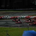 stockkart_2011nov_domingo169.jpg