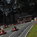 stockkart_2011nov_domingo170.jpg